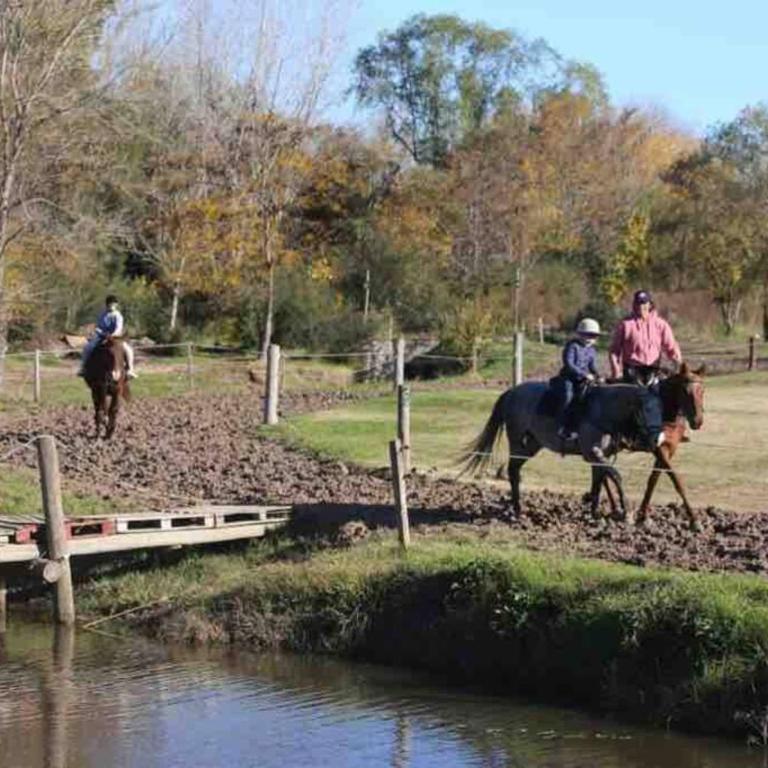 Cabaña CHIC La GUAPEADA - One-Bedroom Chalet - 26