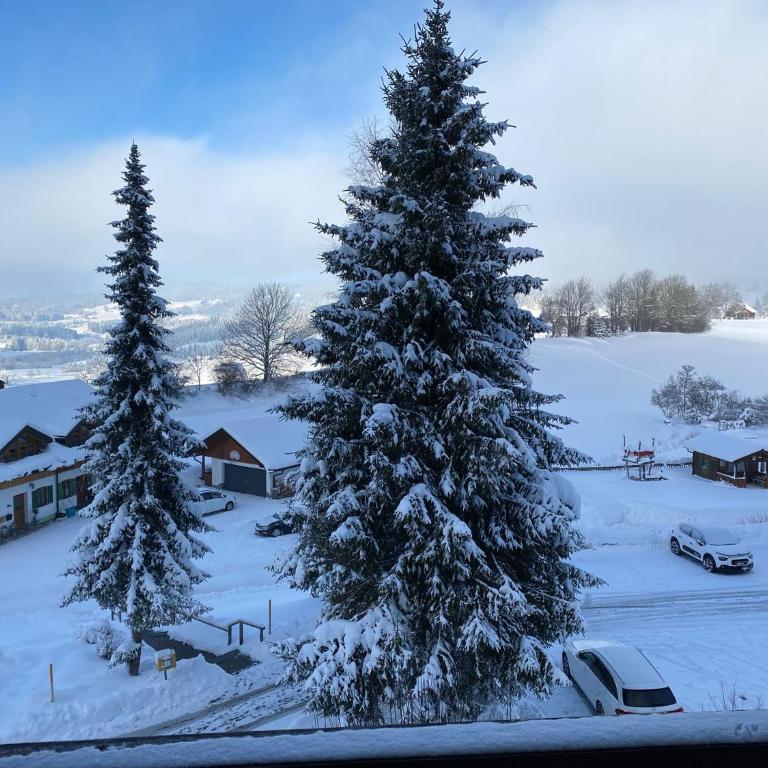 Ferienwohnung Pitzer - Three-Bedroom Apartment - 30