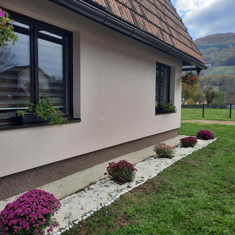 Drinski oganj kuca za odmor - Kuća sa 1 Spavaćom Sobom - 12