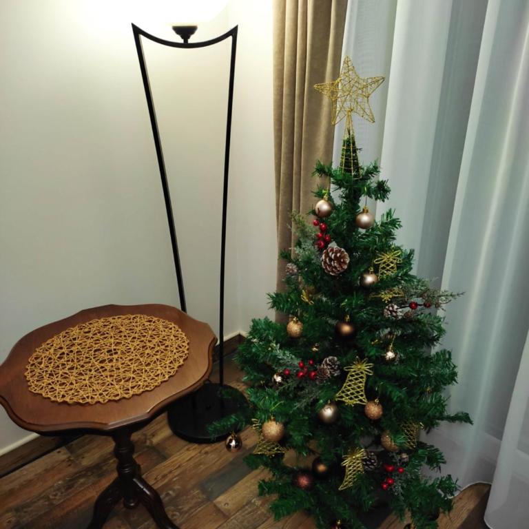 Apartmani Borova Iglica Divčibare - Apartman Tipa "Suite" sa 1 Spavaćom Sobom - 24