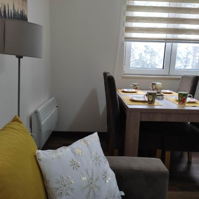 Apartmani Borova Iglica Divčibare - Apartman sa 1 Spavaćom Sobom - 10