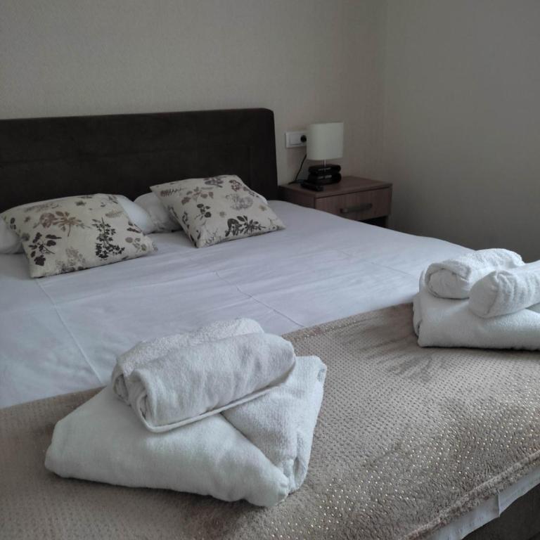 Apartmani Borova Iglica Divčibare - Apartman sa 1 Spavaćom Sobom - 12