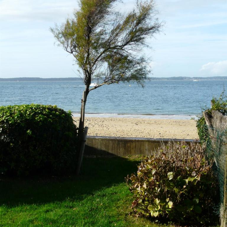 Arcachon Pereire bord de plage - Apartment mit 1 Schlafzimmer - 25