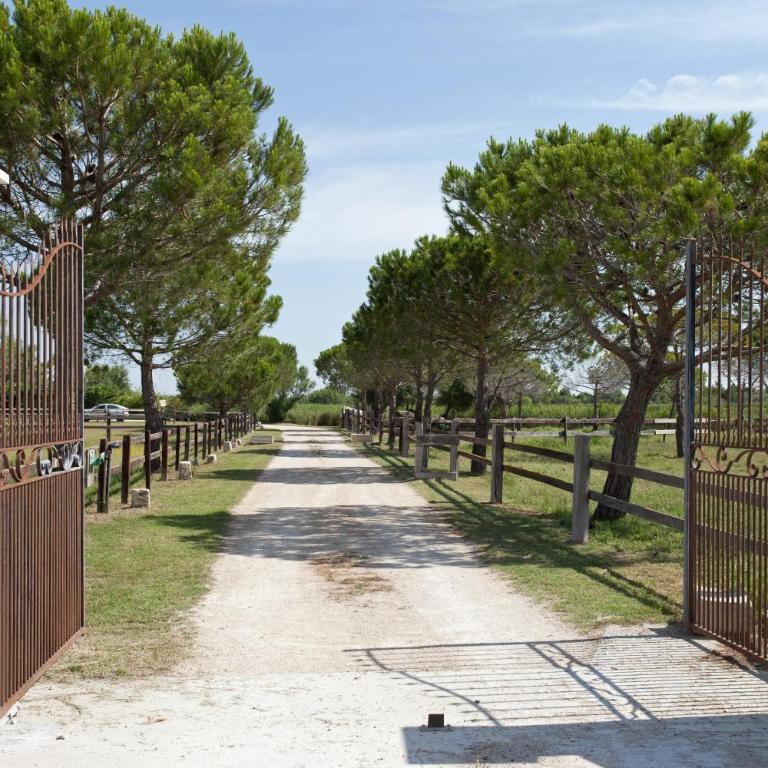 Gîtes Equestres Lou Caloun - Les Saintes Maries de la Mer - Haus mit 1 Schlafzimmer - 29