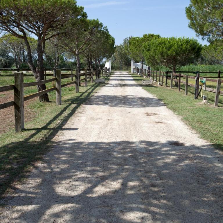 Gîtes Equestres Lou Caloun - Les Saintes Maries de la Mer - Haus mit 1 Schlafzimmer - 36