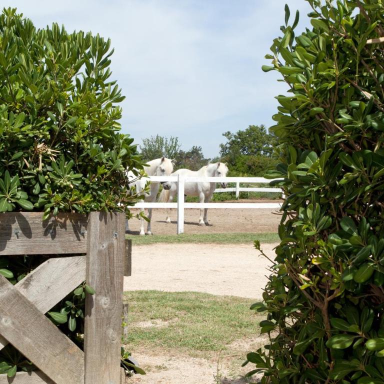 Gîtes Equestres Lou Caloun - Les Saintes Maries de la Mer - Haus mit 1 Schlafzimmer - 39