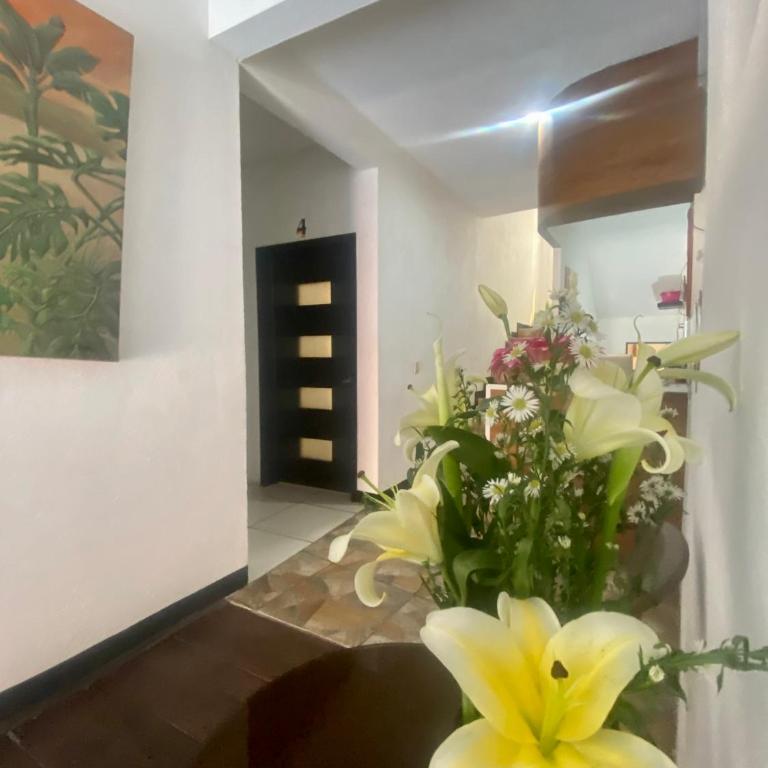 Casa Tacuba - Habitación Doble Estándar - 2 camas - 3