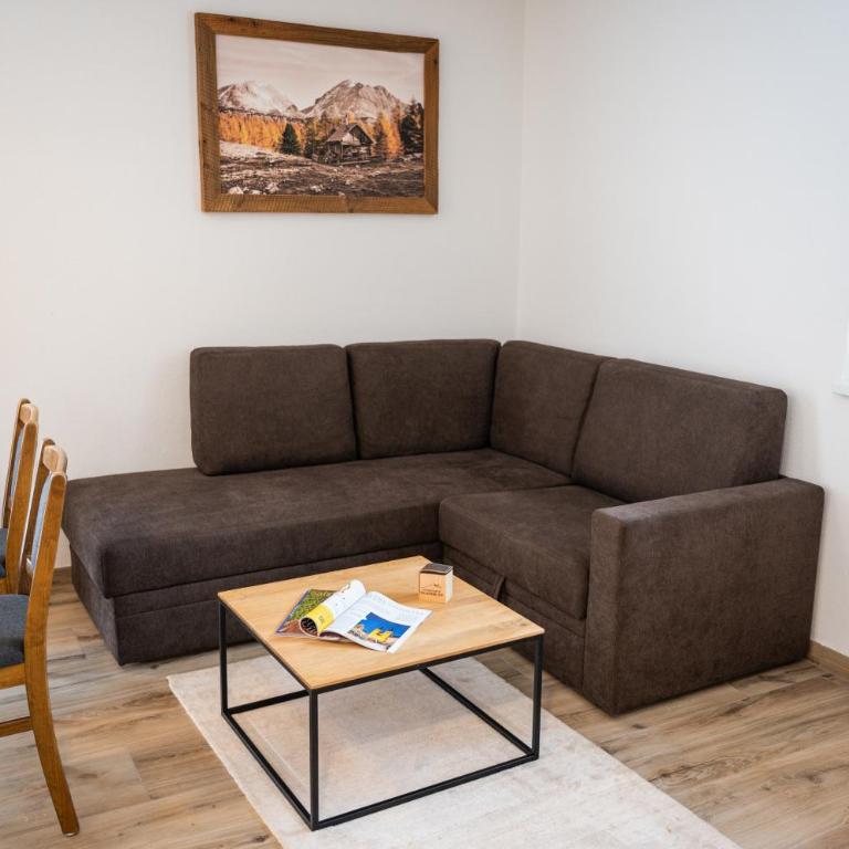 Appartement Tauernblick Radstadt - Two-Bedroom Apartment - 2