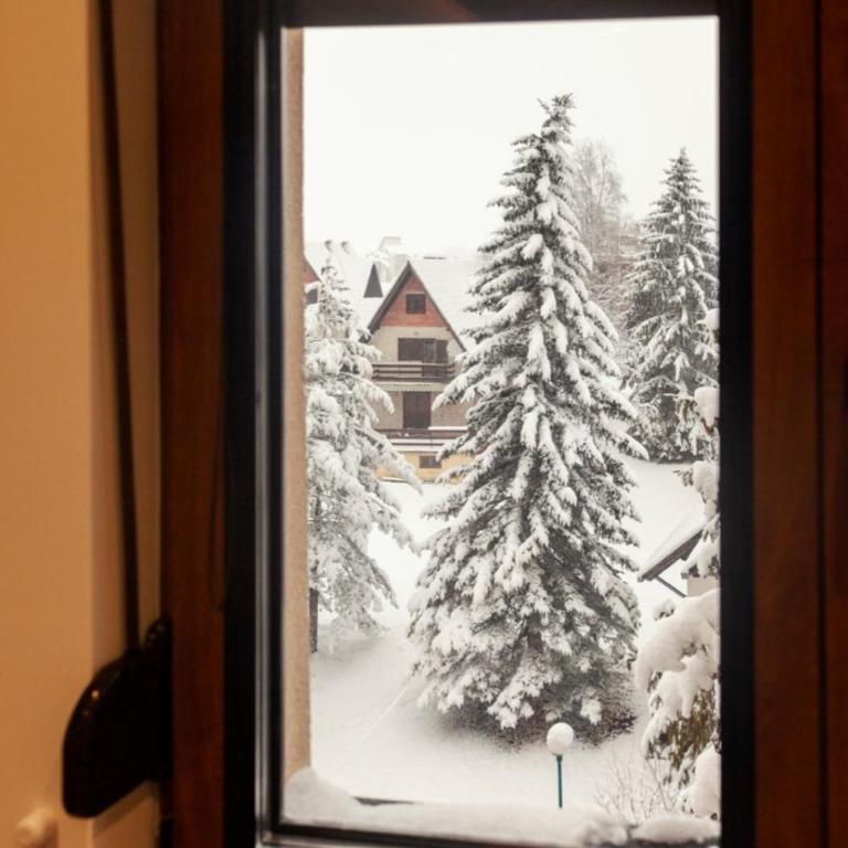 Per silvas apartman i spa - Apartman sa 1 Spavaćom Sobom - 17