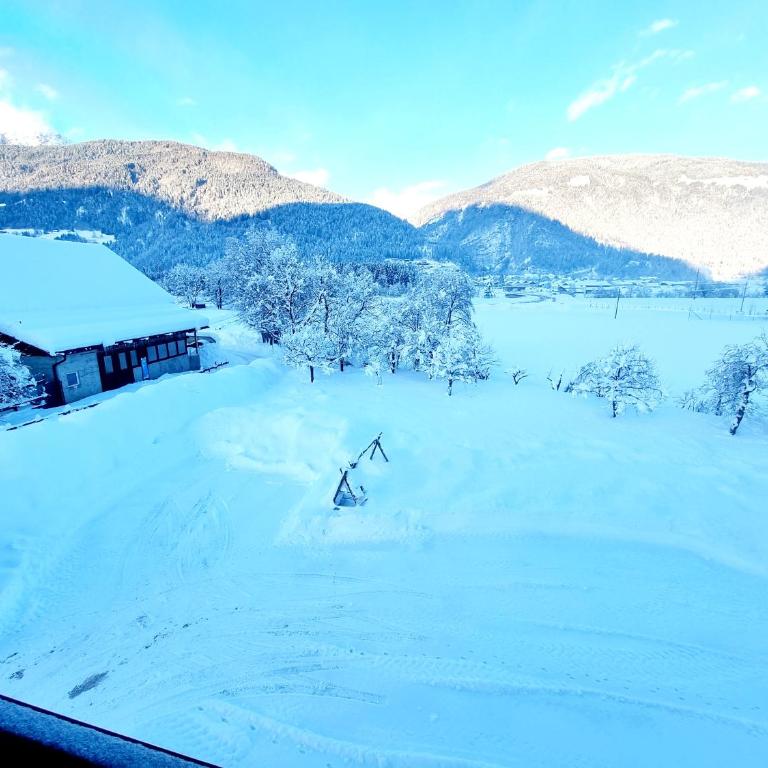 Guesthouse Schoba Typ D - Apartment mit 3 Schlafzimmern - 25