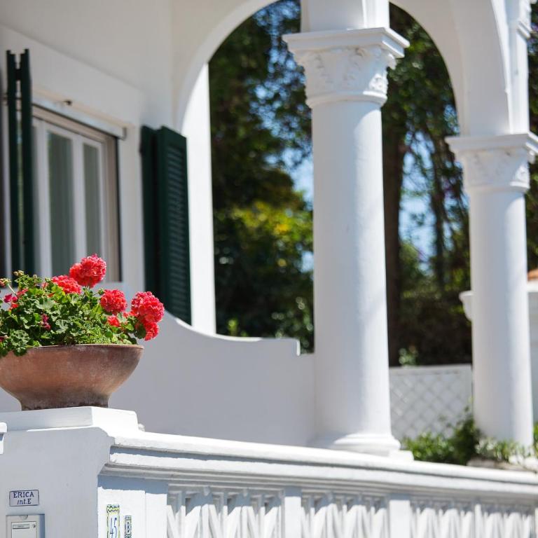 Villa Mariuccia Capri - Appartamento con 1 Camera da Letto con Terrazza - Su 2 Livelli - 5