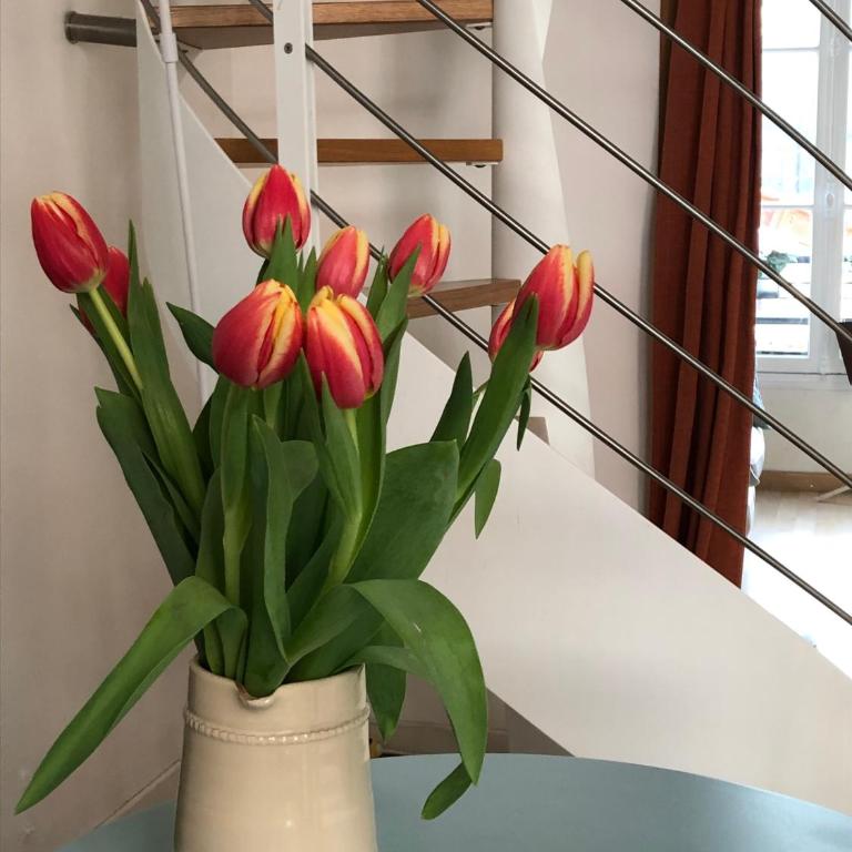PARIS Petit appartement lumineux et atypique - Appartamento con 1 Camera da Letto - 11