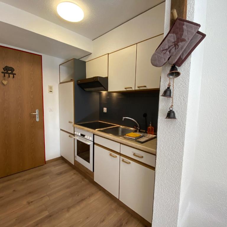 Haus Alpalin - adjacent studios 'Mischabel', cosy, central - Apartment mit Blick auf die Berge - 5