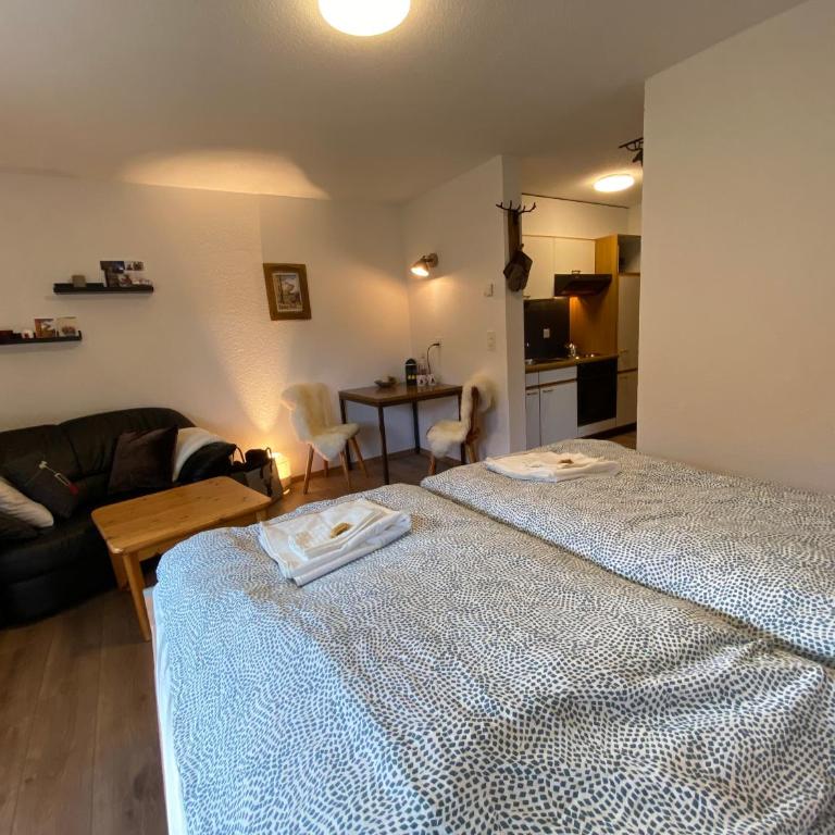Haus Alpalin - adjacent studios 'Mischabel', cosy, central - Apartment mit Blick auf die Berge - 9