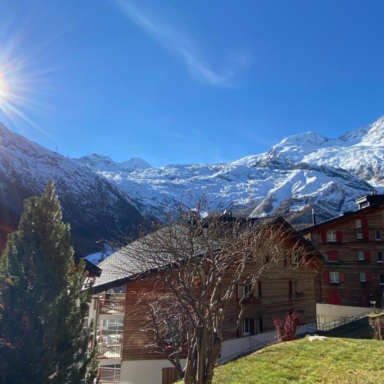 Haus Alpalin - adjacent studios 'Mischabel', cosy, central - Apartment mit Blick auf die Berge - 12