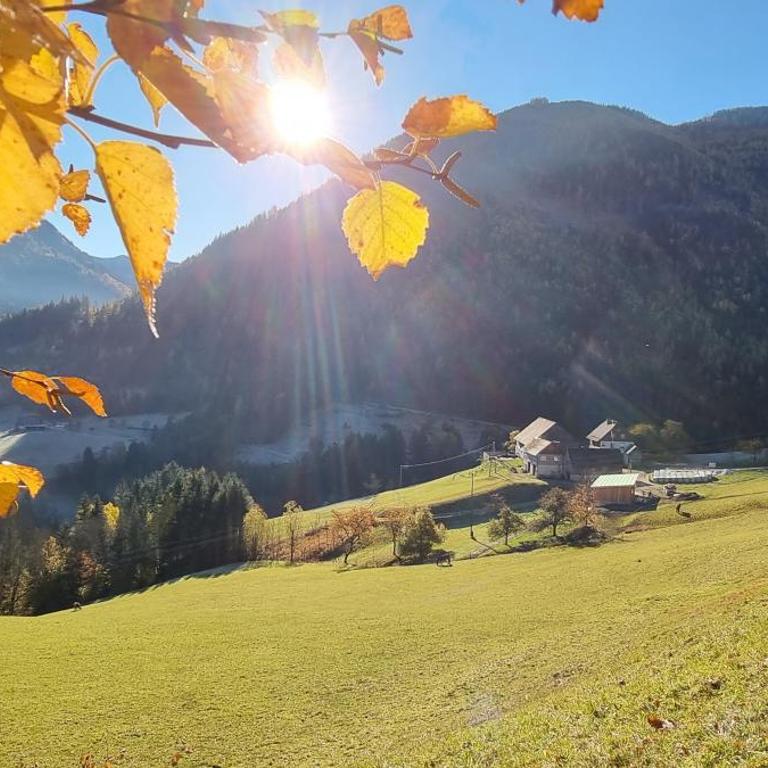 Köck-Chalet - Chalet - 7