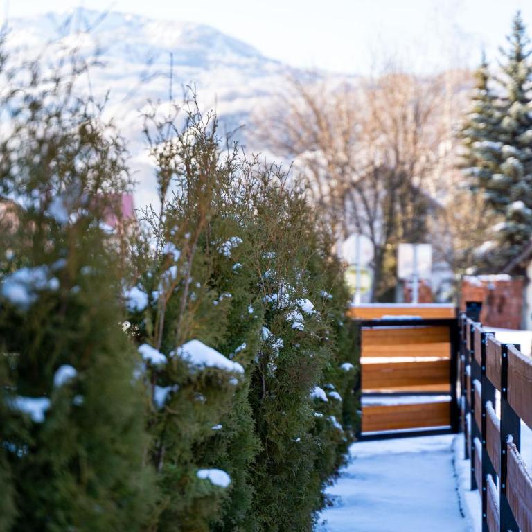 Zara Chalet - Brvnara sa 3 Spavaće Sobe - 44