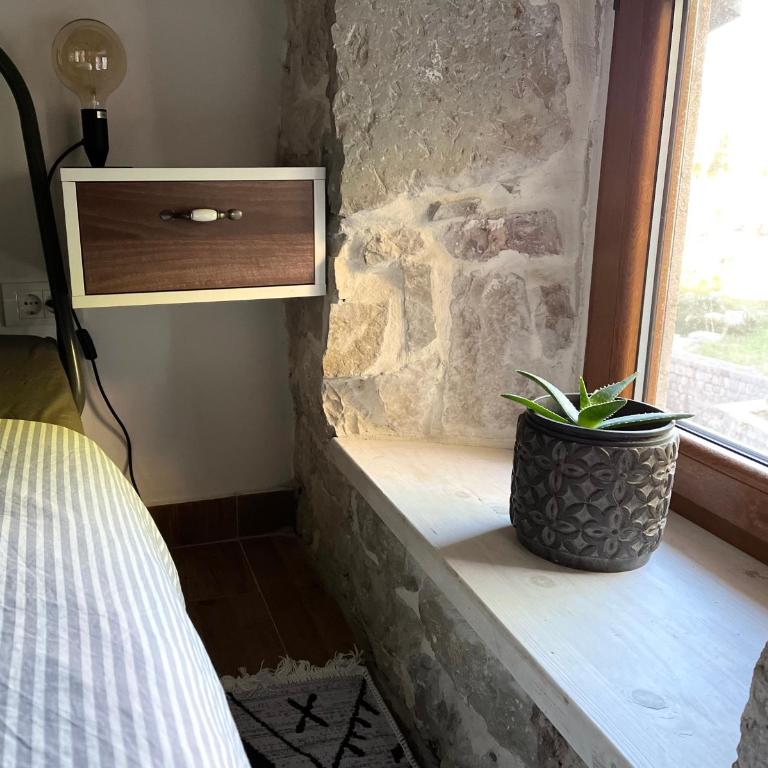 HealthyStudio512 Apartments - Superior King Room - 18