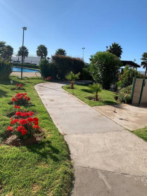 Primera línea frente al mar, con gran piscina. - Apartamento de 2 dormitorios - 18