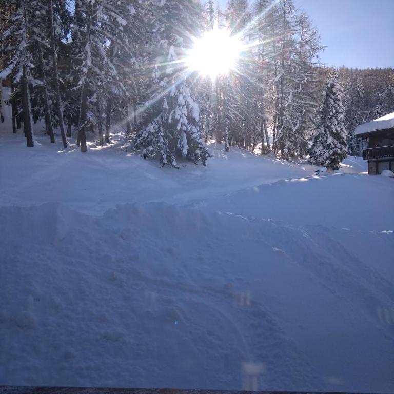 La Plagne Les Coches studio divisible ensoleillé - Apartment mit 2 Schlafzimmern - 26