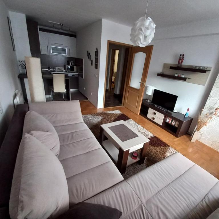 Apartman Pivasevic - One-Bedroom Apartment - 6