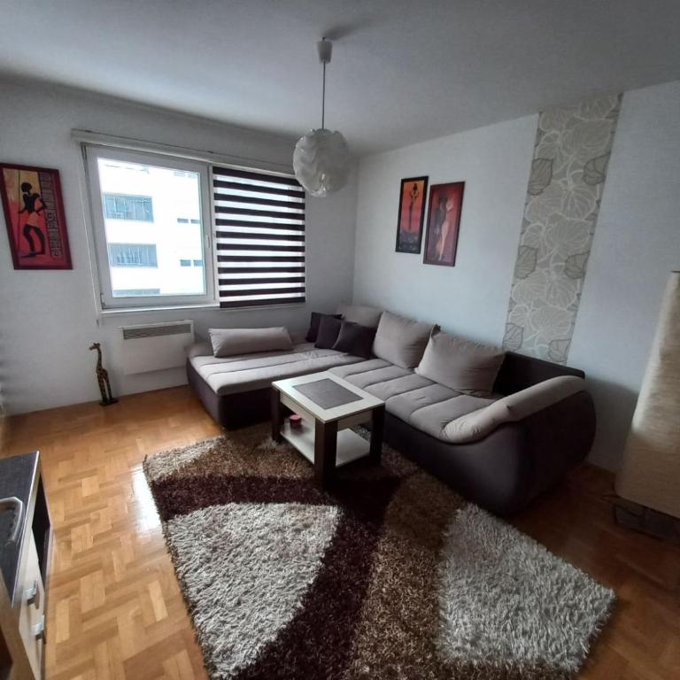 Apartman Pivasevic - One-Bedroom Apartment - 7