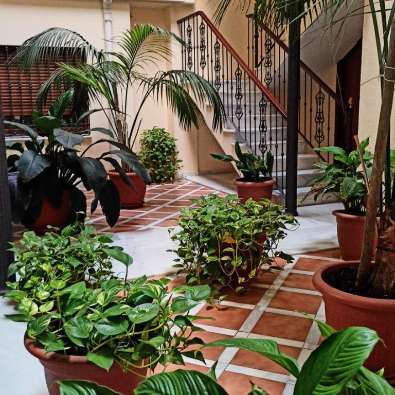 Botánic Suite Malaga - Apartamento de 1 dormitorio - 9