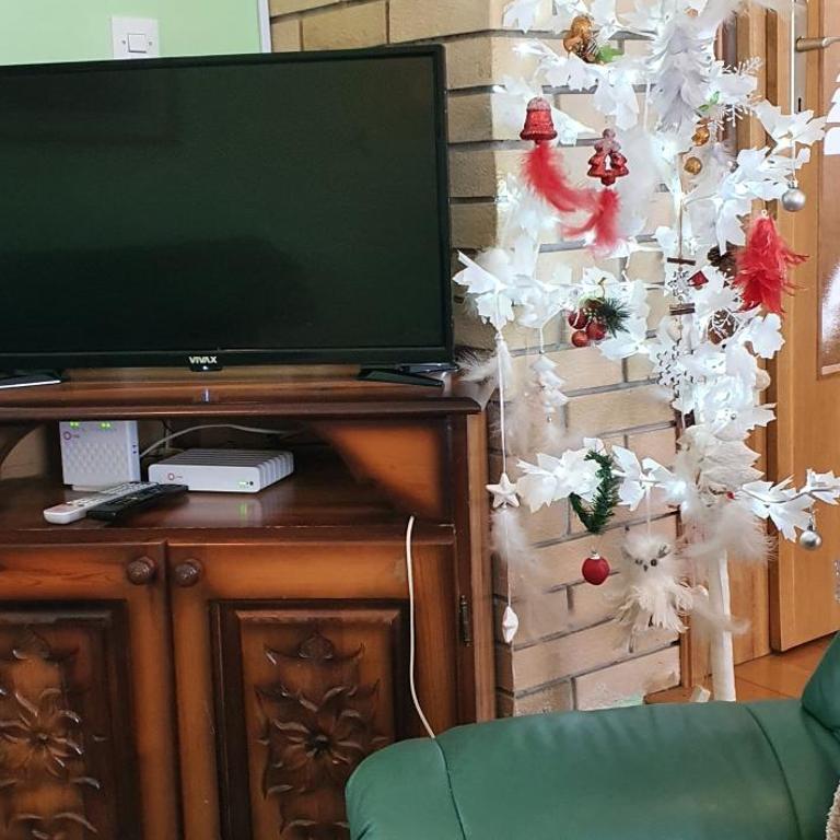 Kraljevi Konaci Olja - Apartman sa 3 Spavaće Sobe - 37