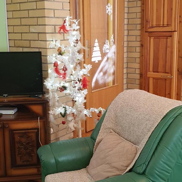 Kraljevi Konaci Olja - Apartman sa 3 Spavaće Sobe - 38