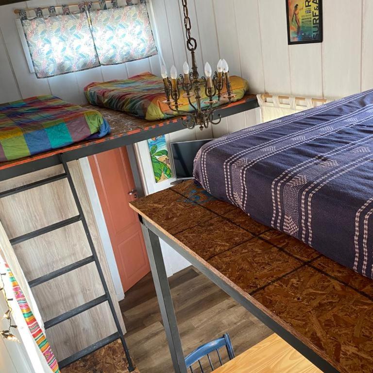 Tribu de Mar - Bungalow - Frente al agua - 26