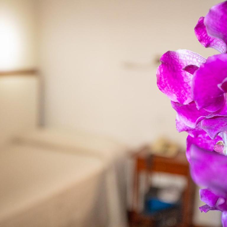 Hotel Blumen Collection by GSA Hotels - Camera Singola - 7