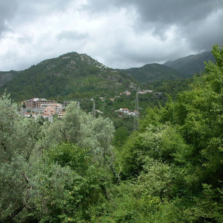 Lero Apartments - Studio with Sea View - 1