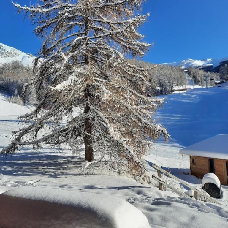 ChaletauxOrres au pied des pistes et skis aux pieds - Chalet con 2 Camere da Letto - 4