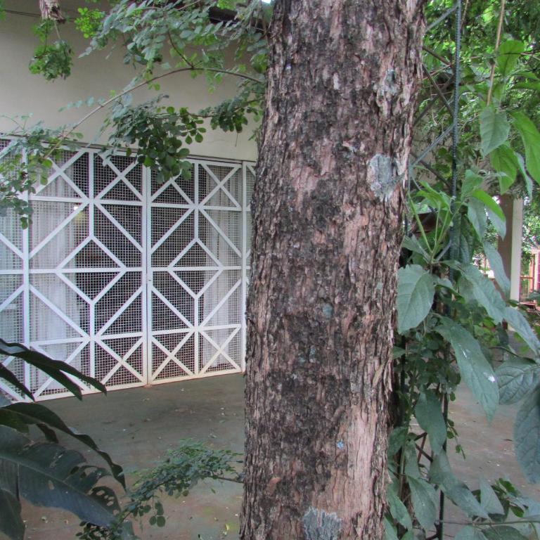 Cabañas Sueño Azul - Bungalow con vistas al jardín (4 adultos) - 12