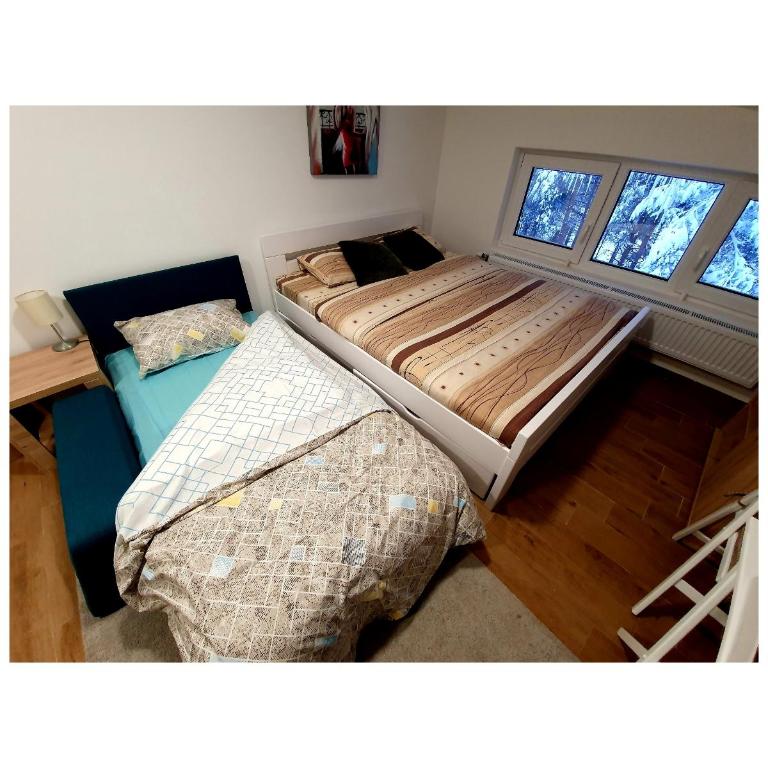 Divcibare Centar 2 - Standard Studio - 5