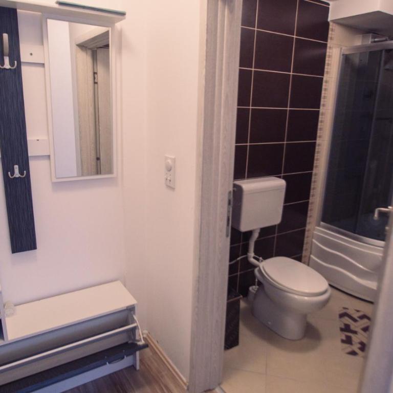 Aber Apartmani Kopaonik - Apartman sa 1 Spavaćom Sobom - 13