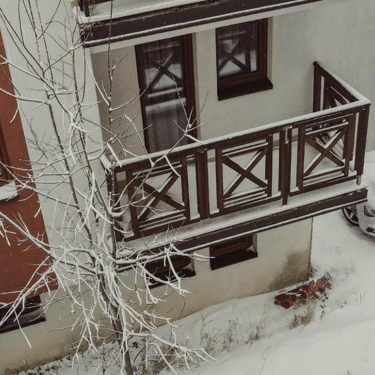 Aber Apartmani Kopaonik - Apartman sa 1 Spavaćom Sobom - 6