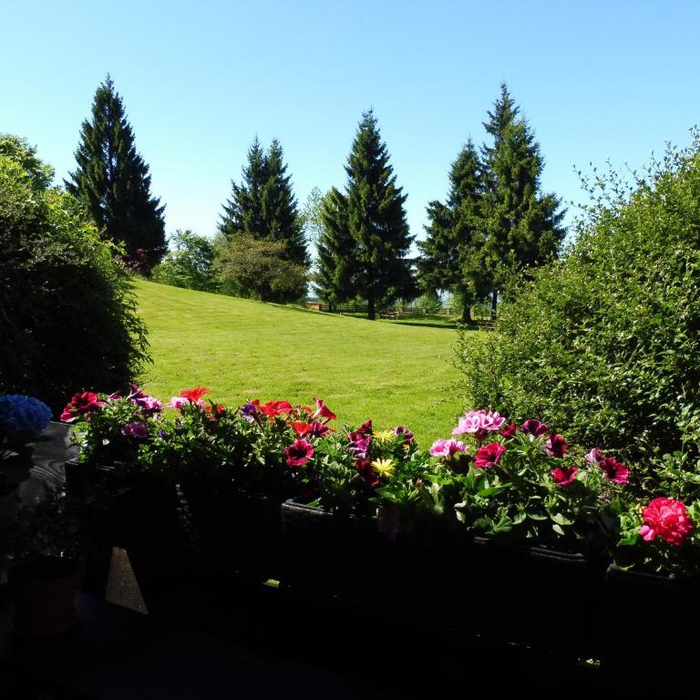 Komfortable Wohnungen und Studio in Sankt Englmar - Studio mit Gartenblick - 7