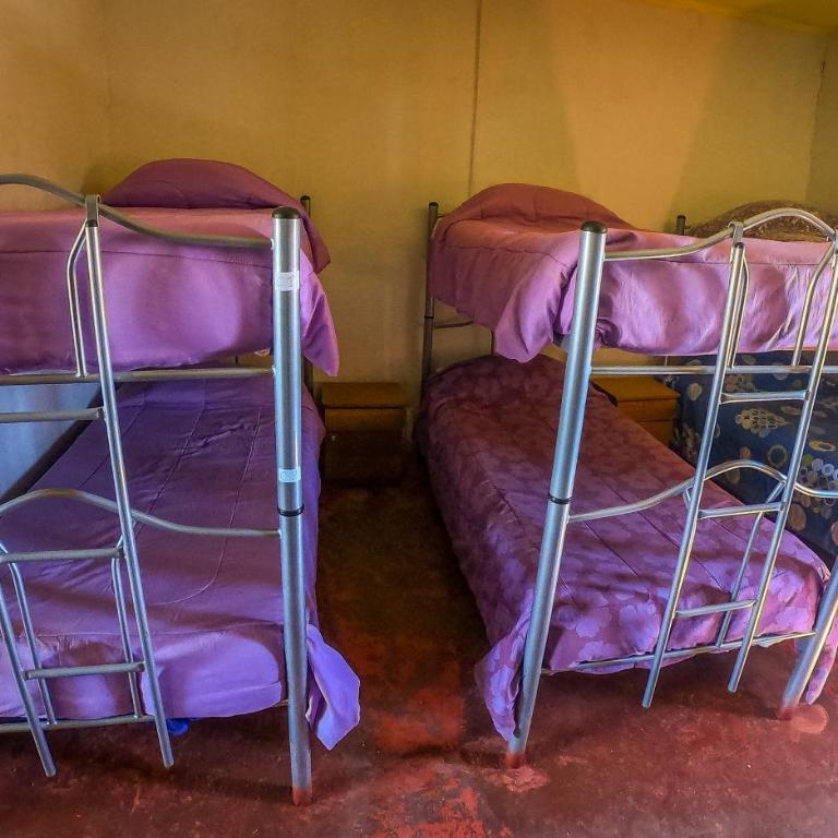 La Casa del Sol Naciente - Cama individual en dormitorio compartido de 10 camas - 3