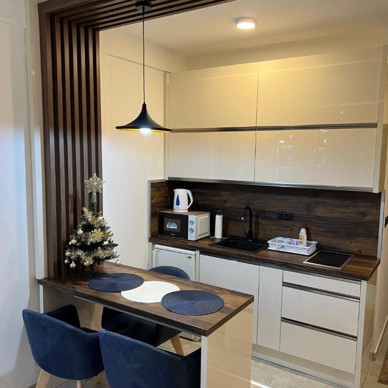 Apartman Holiday - Studio Apartman - 12