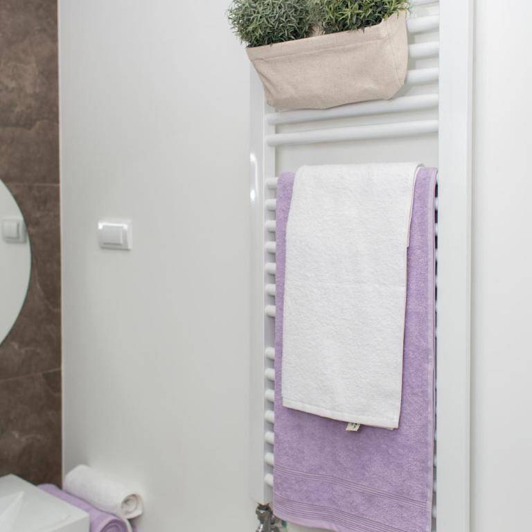 Galaxy Apartments - Soba sa king-sajz krevetom i spa kadom - 12