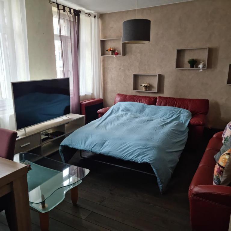 Residence du Galtz - Appartamento Superior - 6