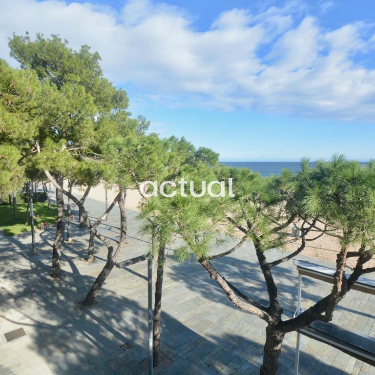 Catalunya F-2 - Apartamento de 1 dormitorio - 23