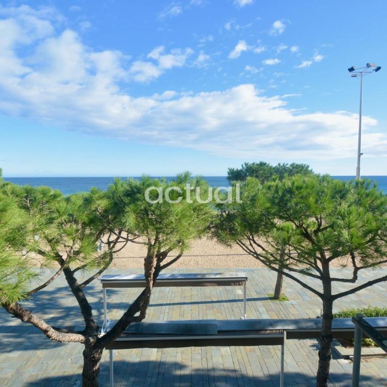 Catalunya F-2 - Apartamento de 1 dormitorio - 24