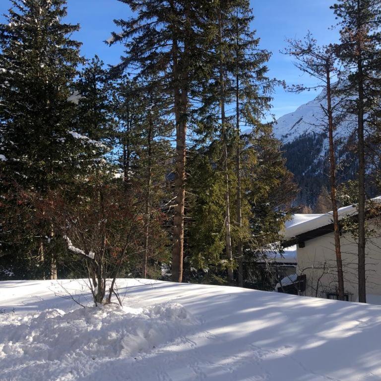 Sankt Moritz Dorf Charme Apartment - Apartment mit 2 Schlafzimmern - 24