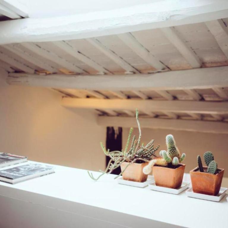 Luxury art apartment in Trastevere with terrace - Appartamento con 2 Camere da Letto - 4