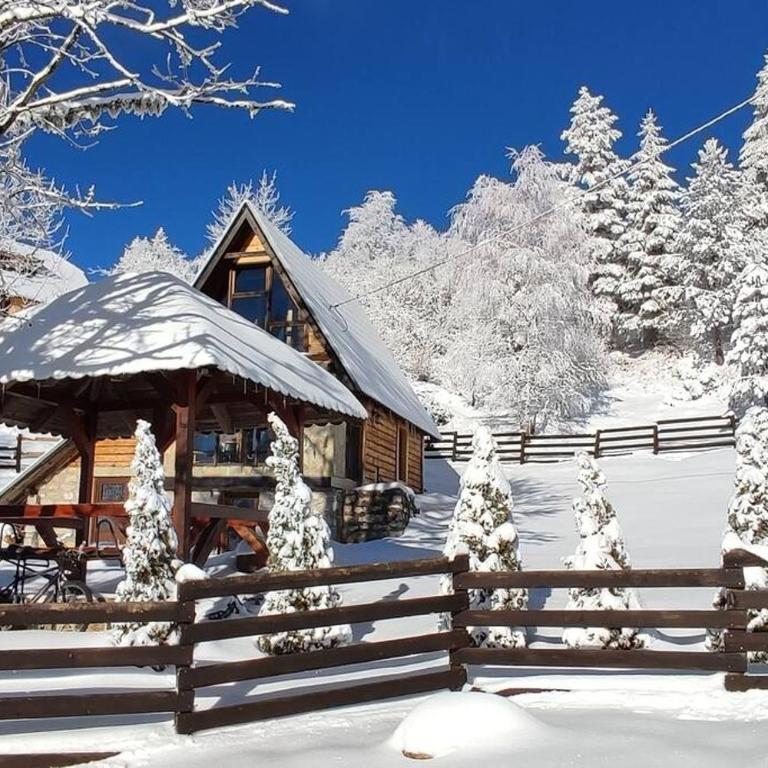 Planinska Koliba ABA-TARA - Koliba sa 2 Spavaće Sobe - 41
