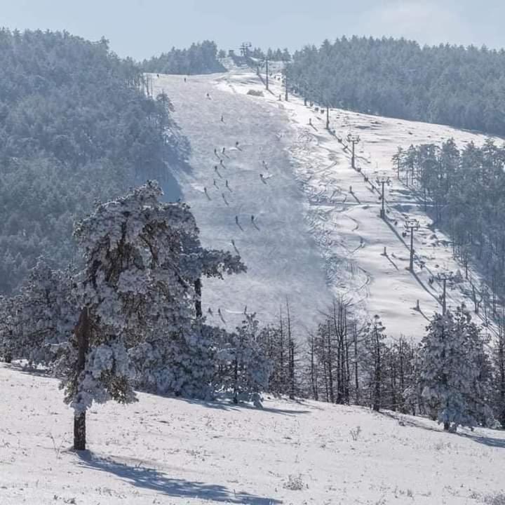 TRI BORA DIVČIGORA - Standardni Trokrevetni Studio - 18