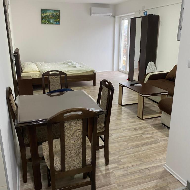 Studio Milica - Apartman sa 1 Spavaćom Sobom - 7