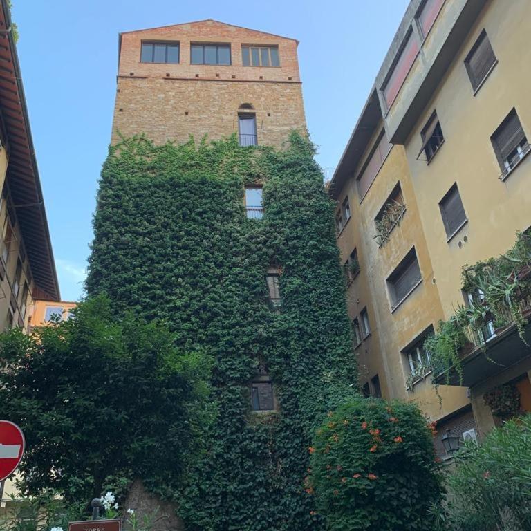 The secret window on the river Arno - Appartamento con 1 Camera da Letto - 11